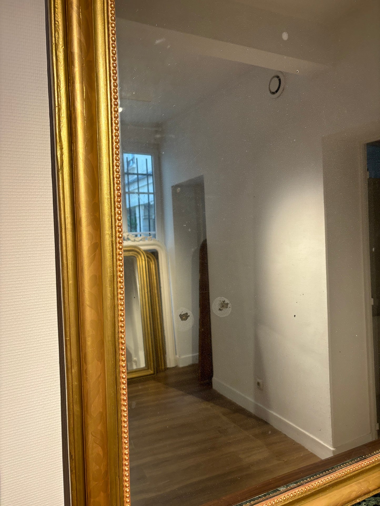 Vase appartement.basile