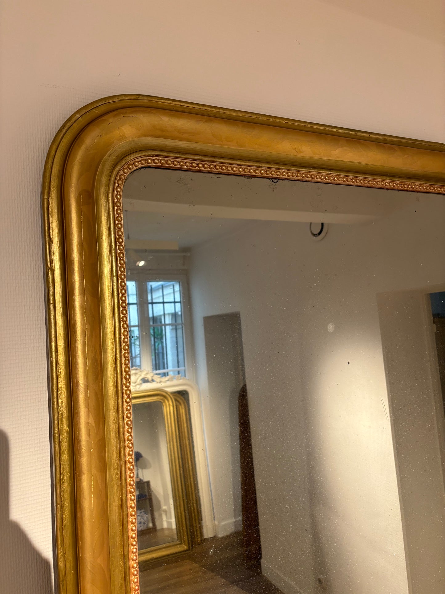 Vase appartement.basile