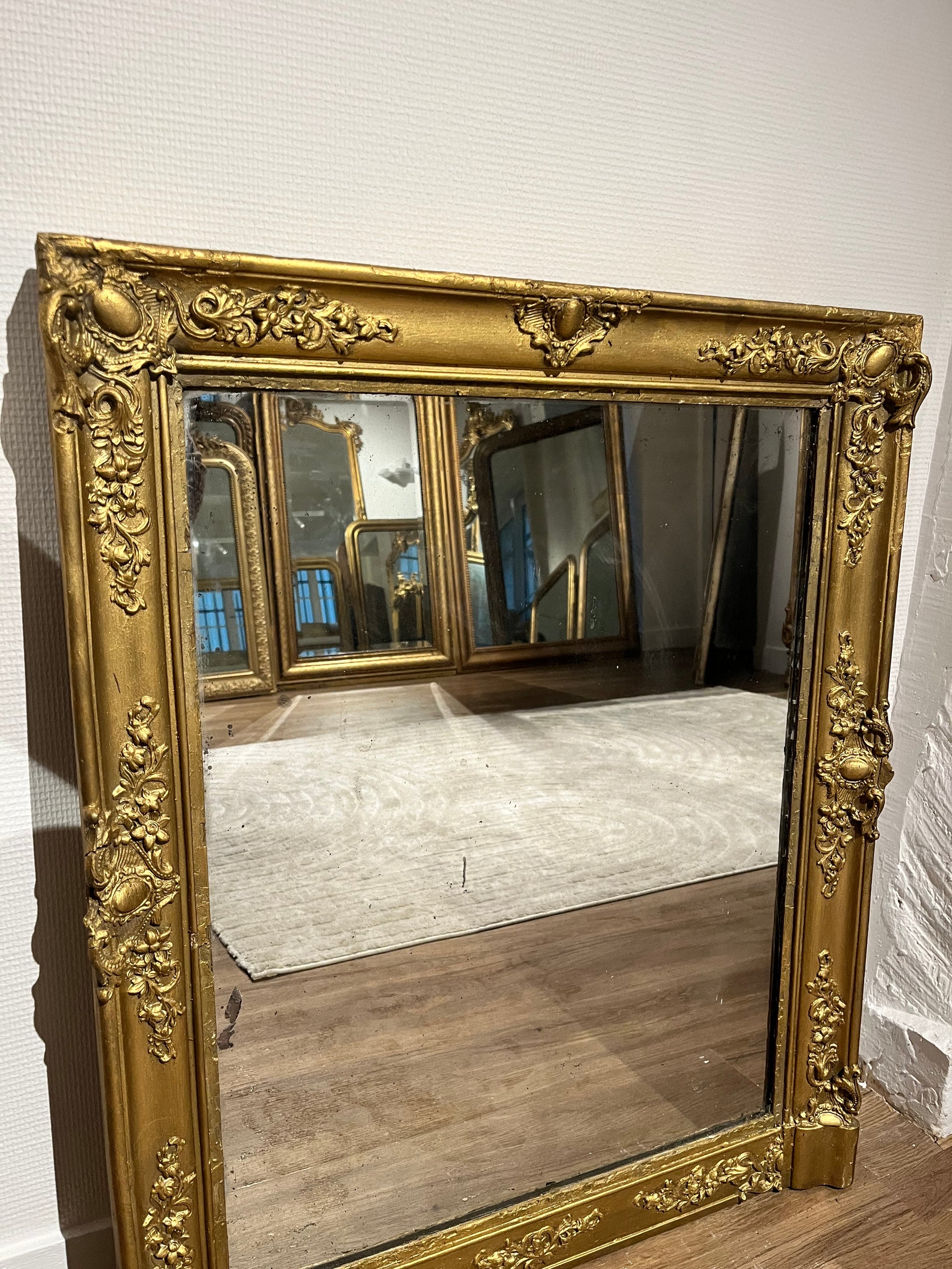 Miroir rectangulaire feuillagé appartement.basile